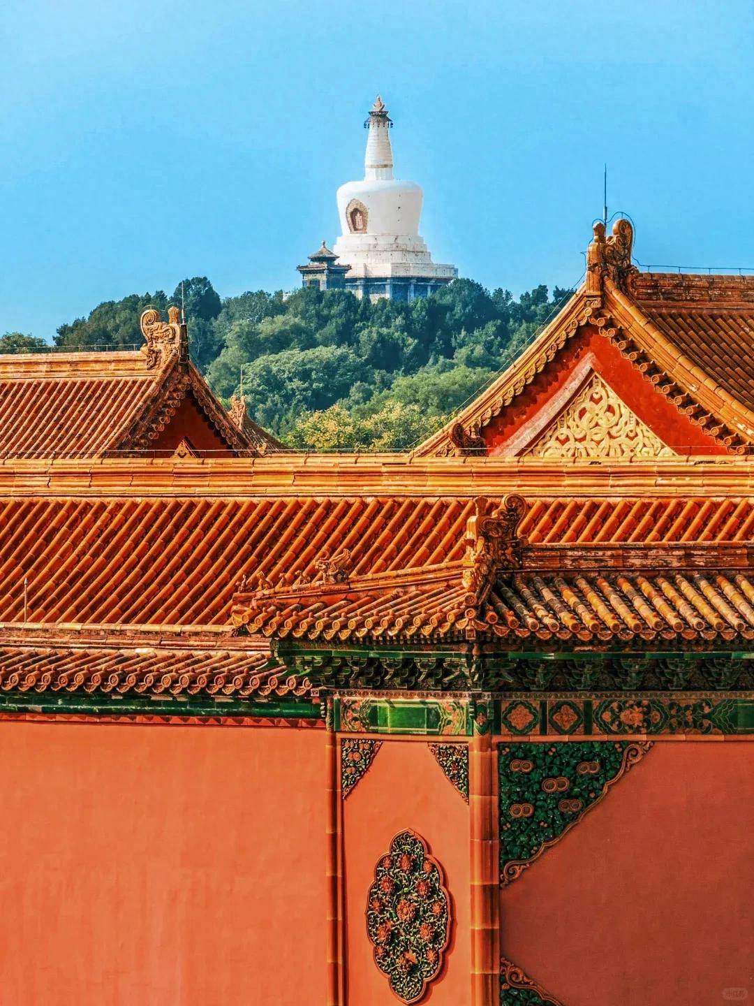 北京好评多的旅行社良心推荐：这些旅行社让